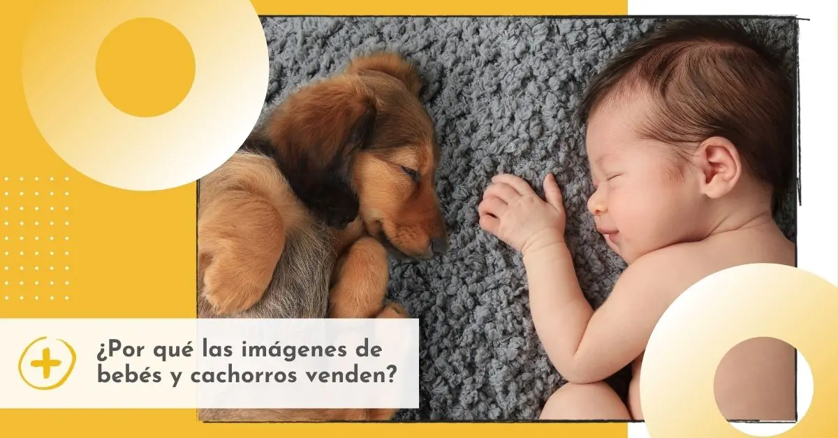 bebés y mascotas como estrategias persuasivas